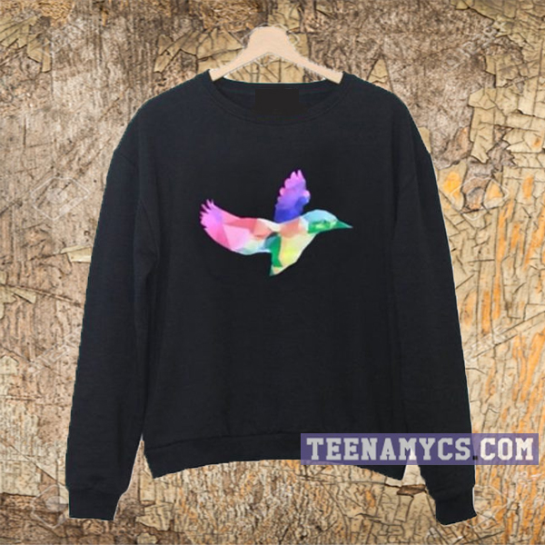 Amazingphil Geometric Rainbow Hummingbird Sweatshirt