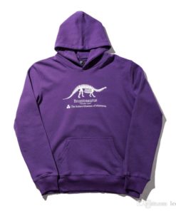 Brontosaurus Hoodie