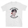 Worldwide Handsome BTS Jin T-shirt