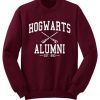 Hogwarts Alumni Est 993 Sweatshirt