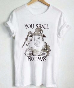 You Shall Not Pass Pokemon T-shirt