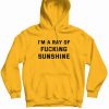 I'm A Ray Of Fucking Sunshine Hoodie
