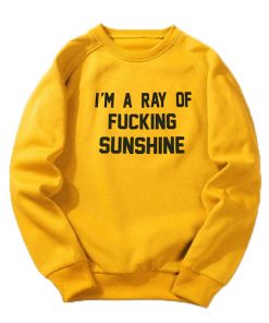I'm A Ray Of Fucking Sunshine Sweatshirt