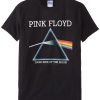 Pink Floyd Adult T-shirt